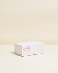 James Reise-Uhrenbox für 2 Uhren